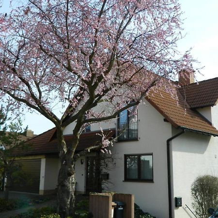 Ferienwohnung Kiko Zornheim 外观 照片