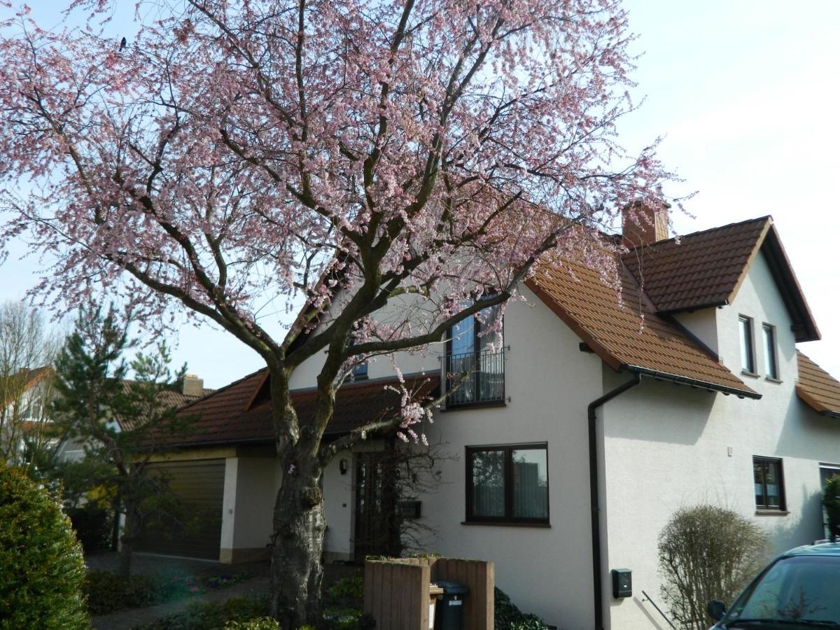 Ferienwohnung Kiko Zornheim 外观 照片